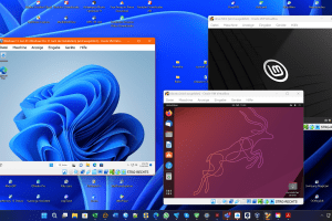 Multiboot vs. virtual PC vs. live DVD: Which is best for multiple OSes?